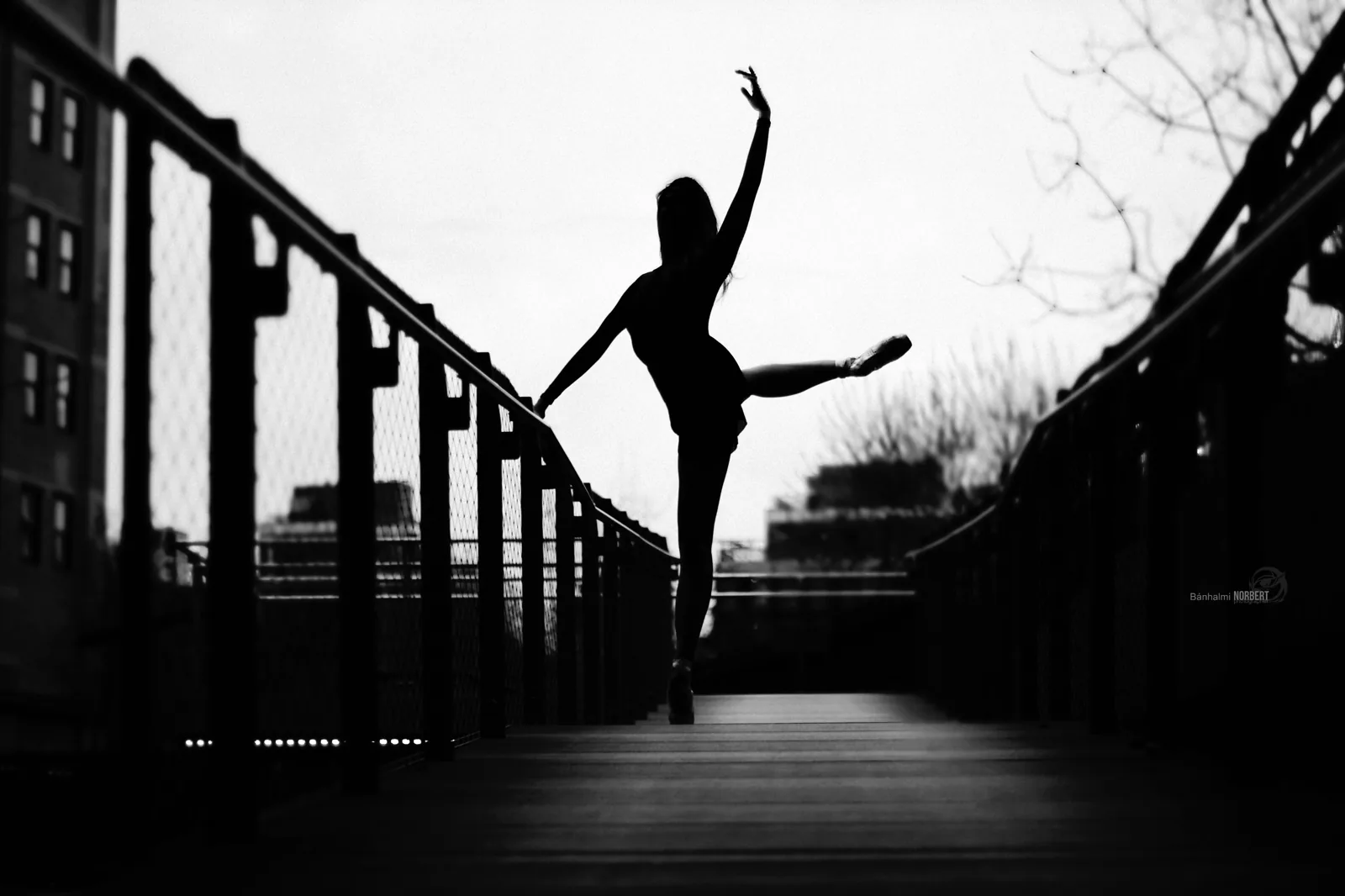 Ballerina Project New York — Strut Your Stuff — Photo: Norbert Banhalmi Ballerina Project New York — Strut Your Stuff — Works from the exhibition