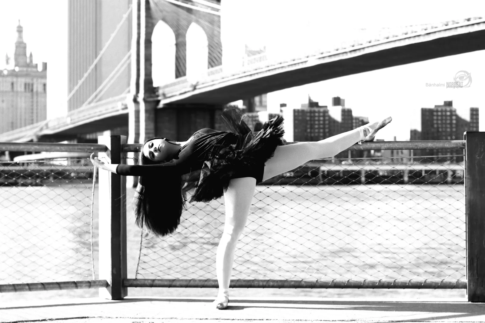 Ballerina Project New York — Strut Your Stuff — Photo: Norbert Banhalmi Ballerina Project New York — Strut Your Stuff — Works from the exhibition