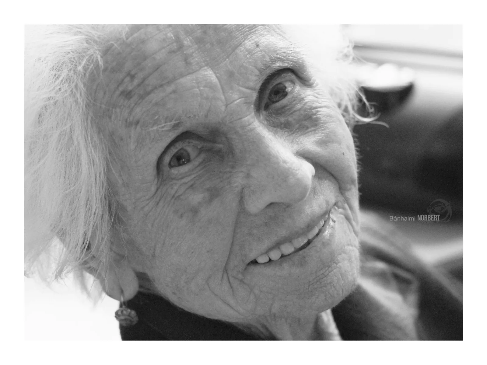 50 Shades of Woman — Photo: Norbert Banhalmi 50 Shades of Woman — Works from the exhibition