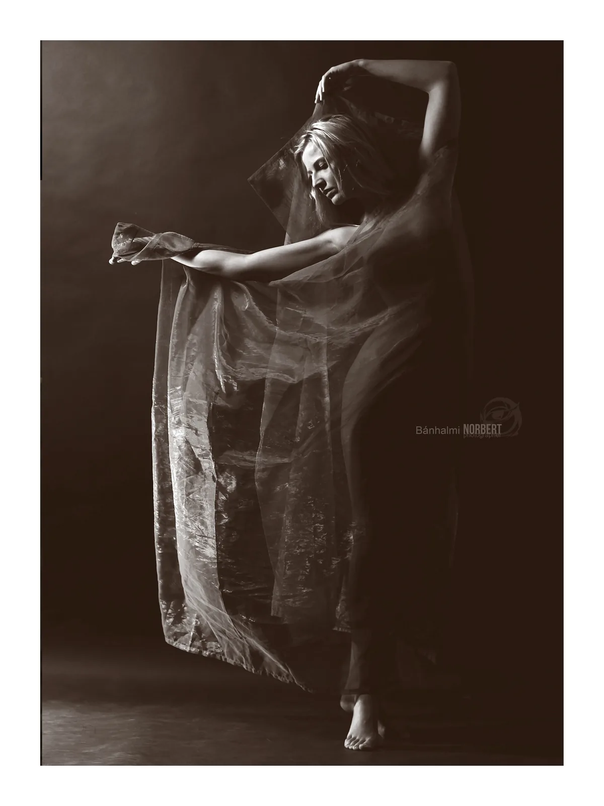 50 Shades of Woman — Photo: Norbert Banhalmi 50 Shades of Woman — Works from the exhibition
