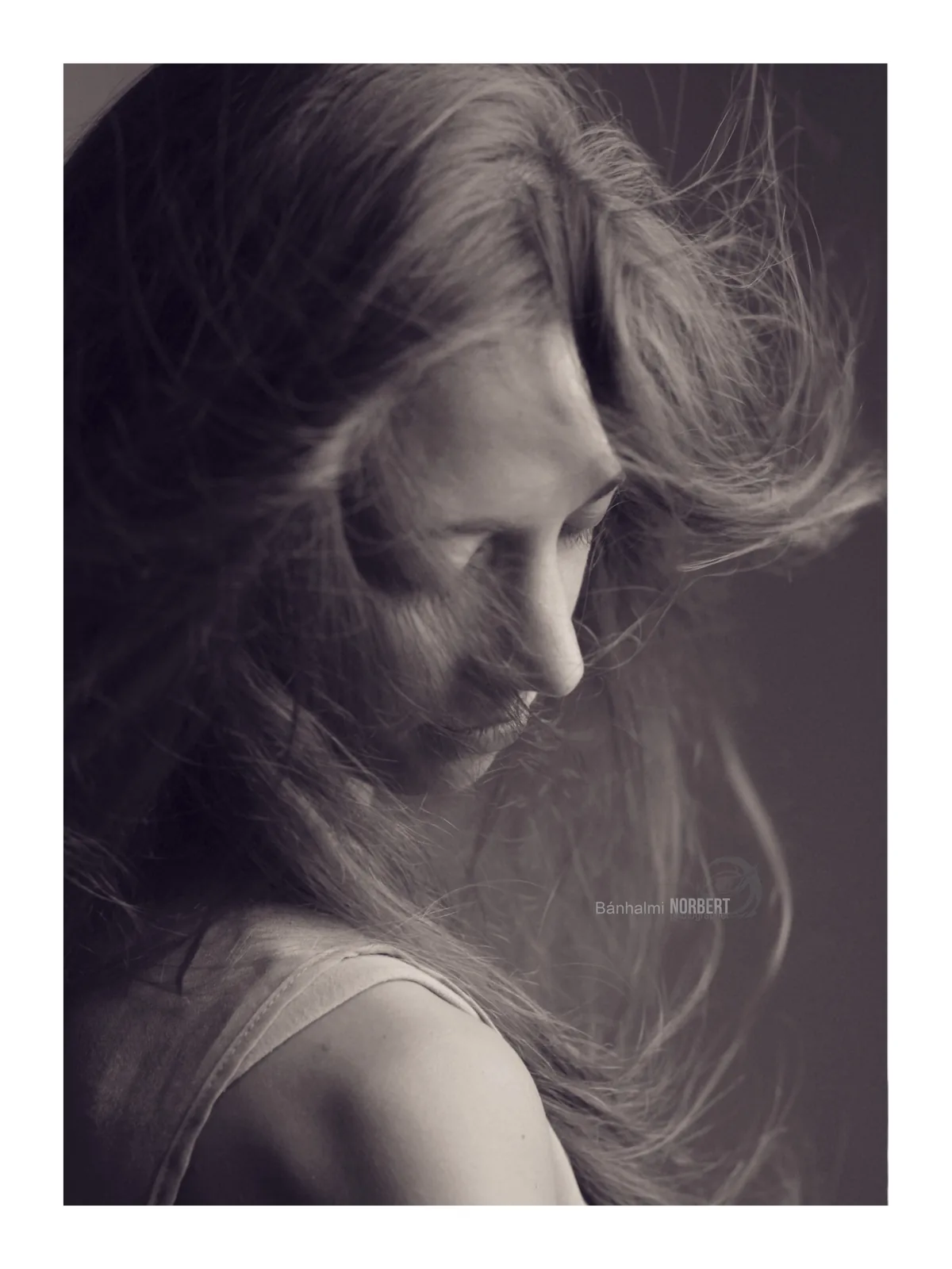 50 Shades of Woman — Photo: Norbert Banhalmi 50 Shades of Woman — Works from the exhibition