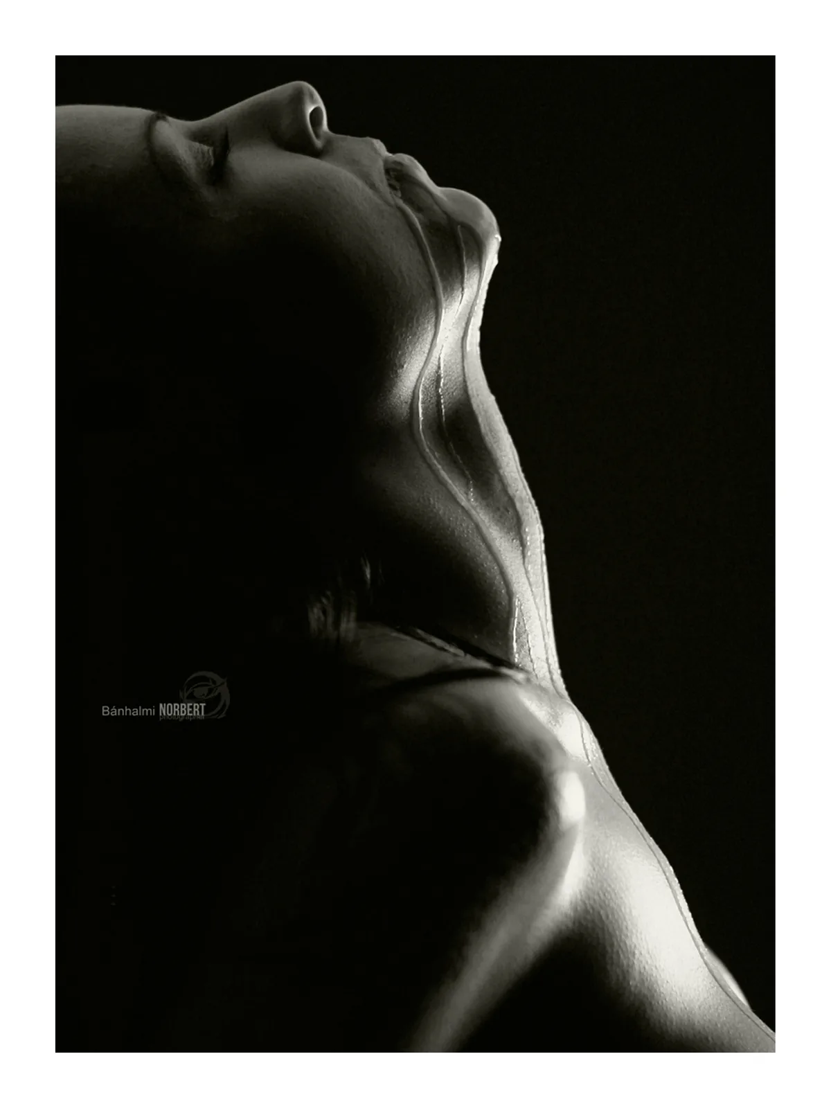 50 Shades of Woman — Photo: Norbert Banhalmi 50 Shades of Woman — Works from the exhibition