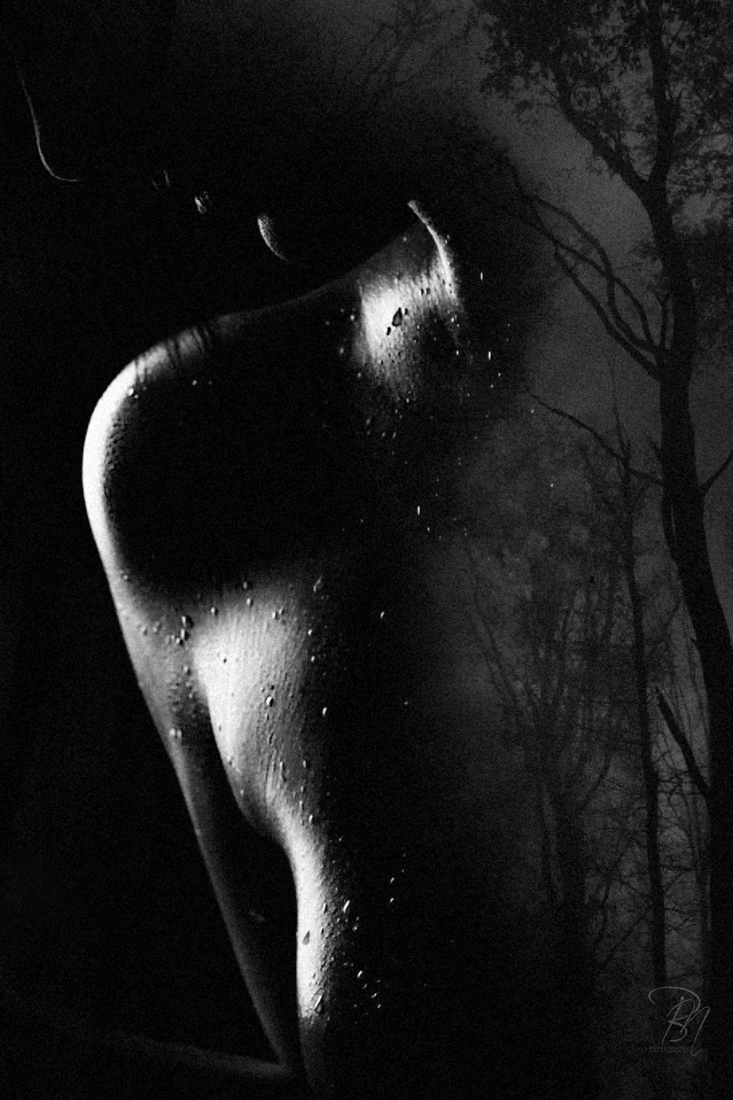 The Frame — 20 Years — Photo: Norbert Banhalmi The Frame — 20 Years — Works from the exhibition